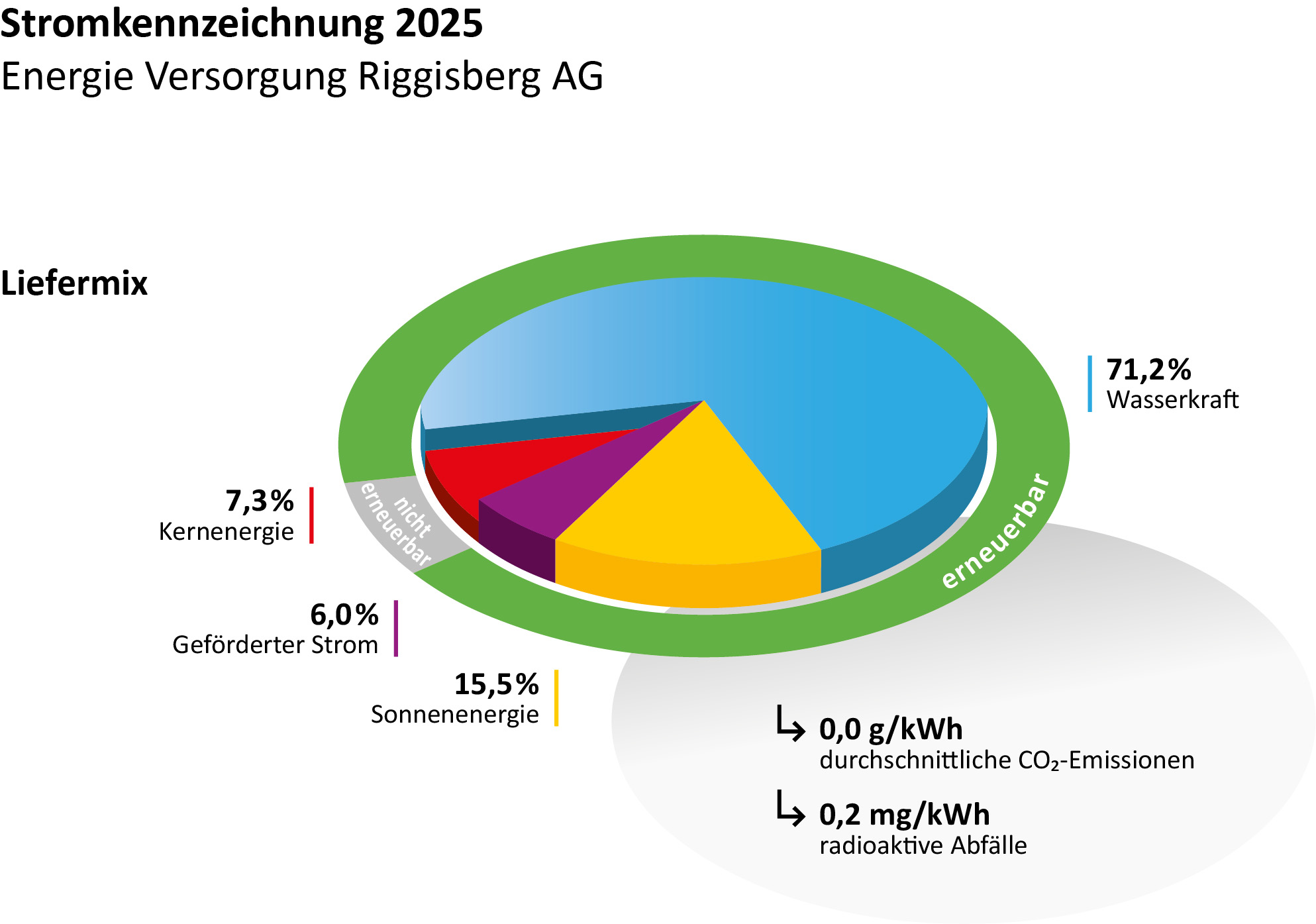 EVR STromkennzeichnung 2026